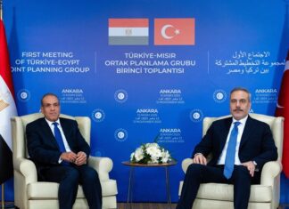 Φιντάν – Αμπντελάτι: Προχωρά η εμβάθυνση της τουρκοαιγυπτιακής συνεργασίας