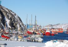 Η Δανία αντιδρά στον διορισμό Αμερικανού απεσταλμένου για τη Γροιλανδία