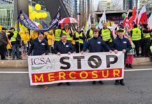 Η ΕΕ εγκρίνει τη συμφωνία Mercosur παρά τις αντιρρήσεις κάποιων κρατών