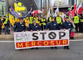 Η ΕΕ εγκρίνει τη συμφωνία Mercosur παρά τις αντιρρήσεις κάποιων κρατών